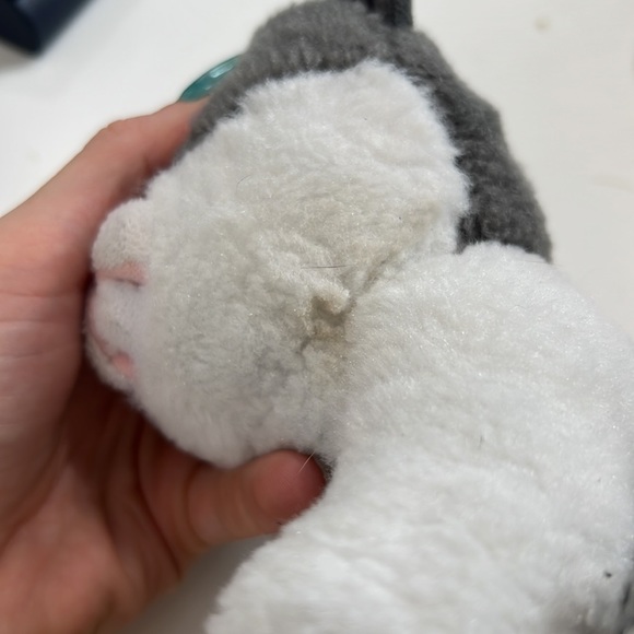 GIFTED Lot Ty Beanies Babies YANG Plush 6" Kitty Cat Kitten Stuffed Animal Gray - Picture 8 of 14